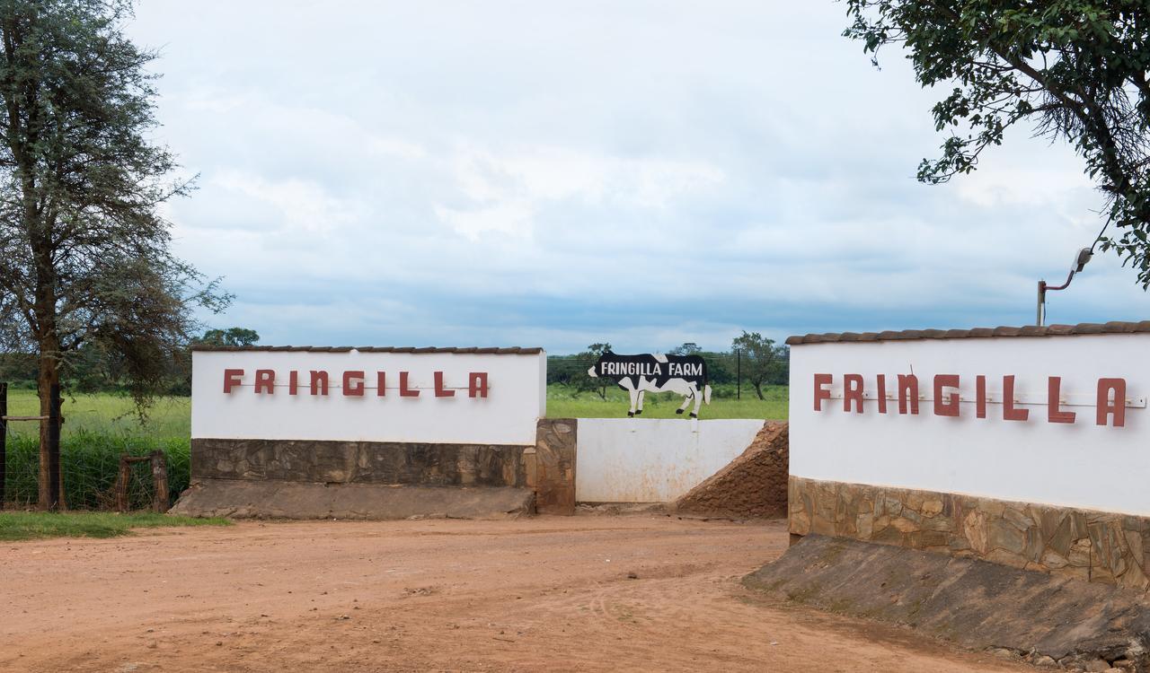 Fringilla Lodge Chisamba エクステリア 写真