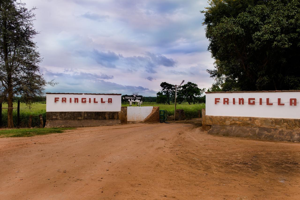 Fringilla Lodge Chisamba エクステリア 写真